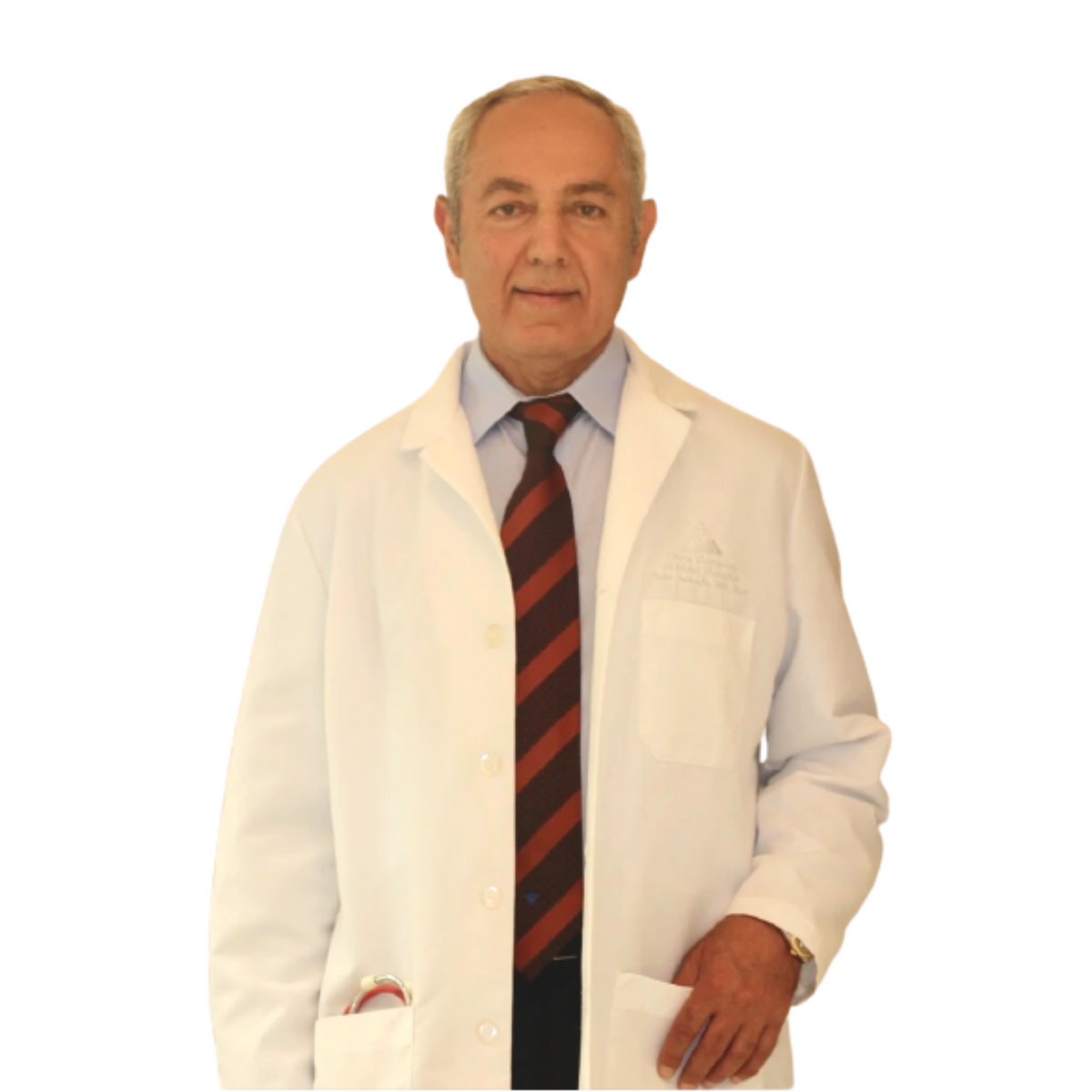 Photo of Dr. Hoss M. Sadeghi